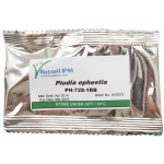 216511_1iWG7sPo4mqaHq Pheromondispenser Plodia/Ephestia