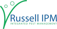 IPM Russel