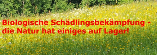 Nützlinge